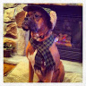 Meet your Posher, Angela